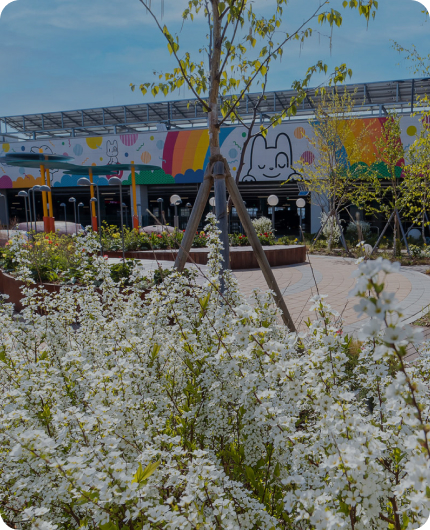 스타가든 실외 모습