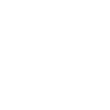 No Brand