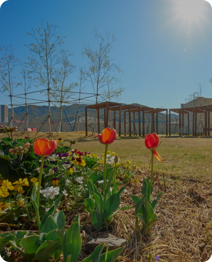 스타가든 실외 전경