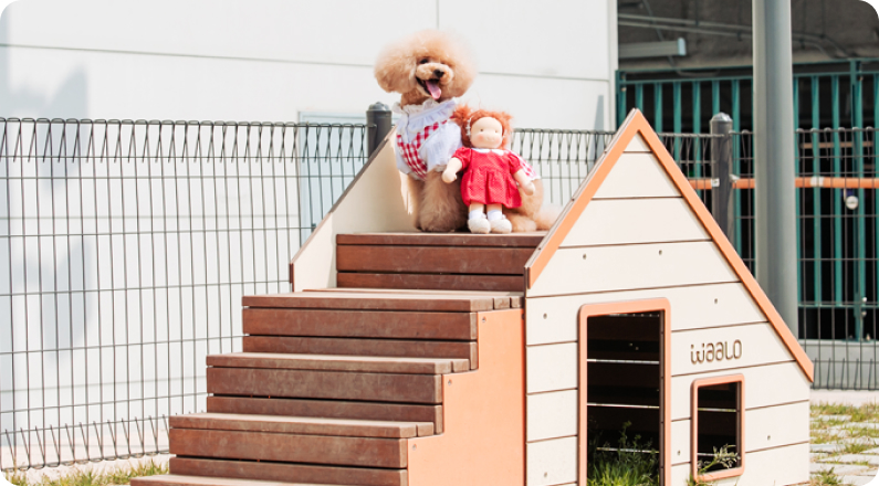 스타가든 펫파크