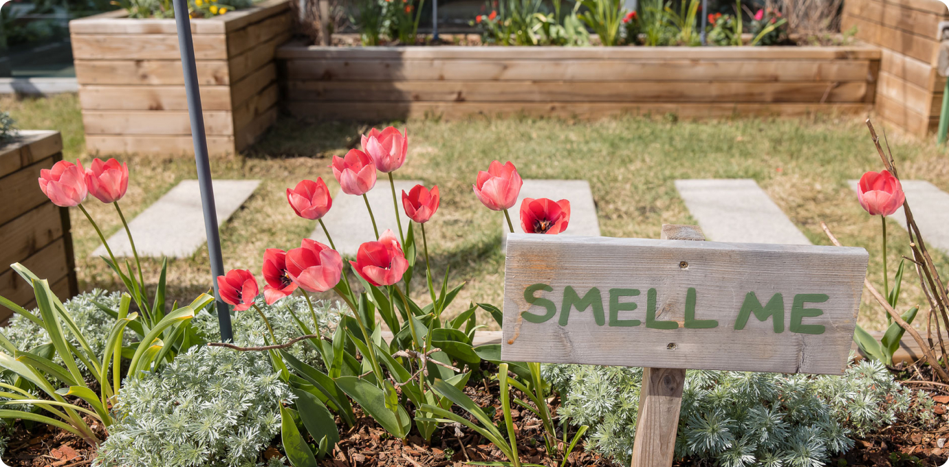 스타가든 모습6