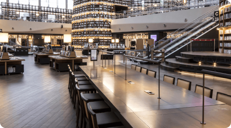 도서관에서 독서하는 사람들