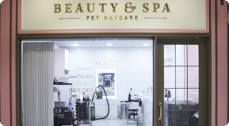 트반려견 미용/스파 시설