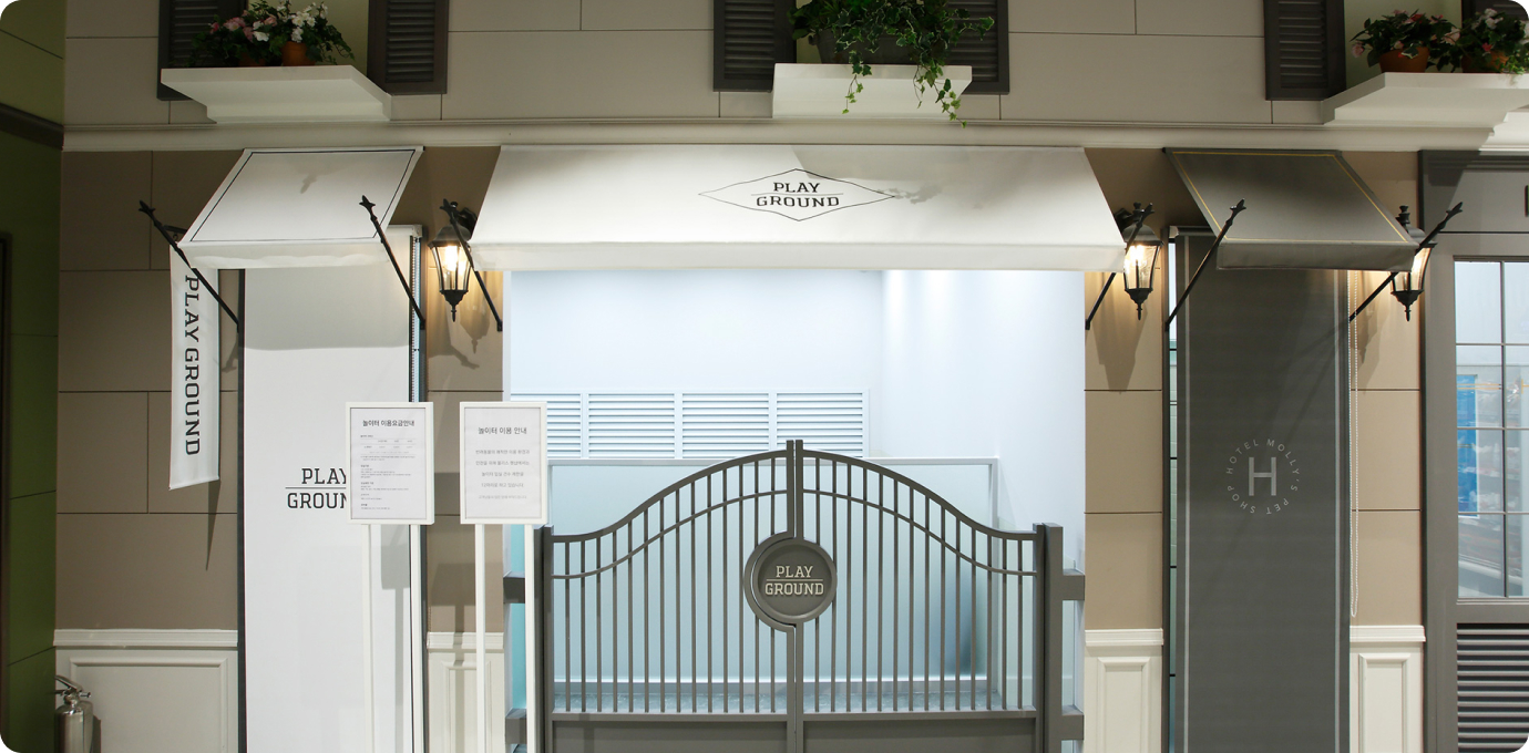 몰리스펫샵 매장 내부 모습