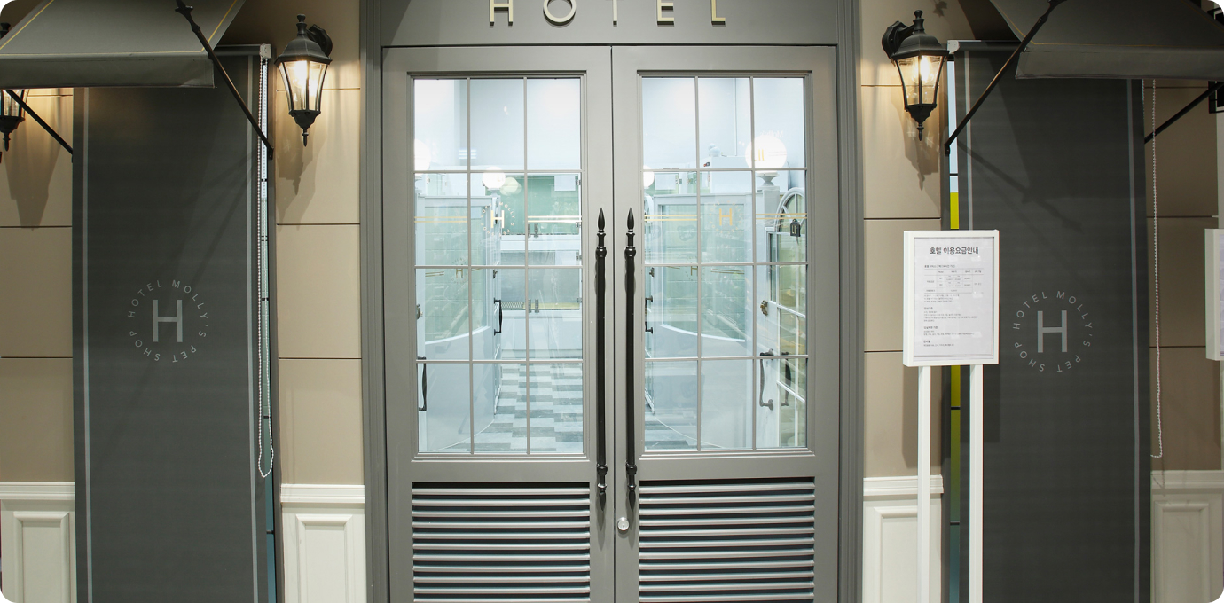 몰리스펫샵 매장 내부 모습