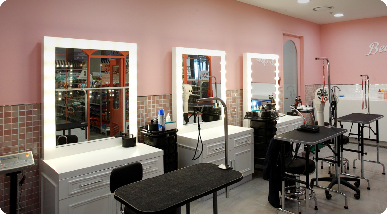 트반려견 미용/스파 시설