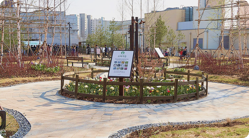 스타가든 초화화단 모습