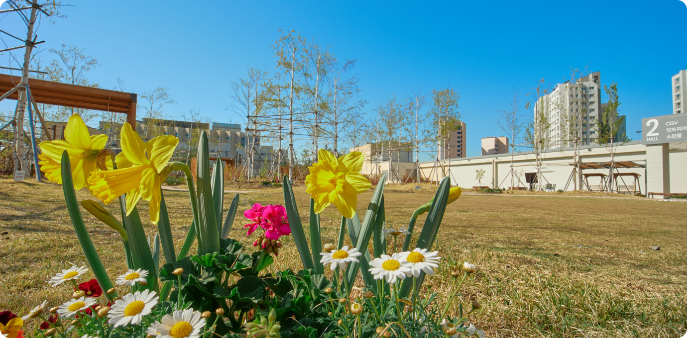 스타가든 옥상정원 꽃 이미지