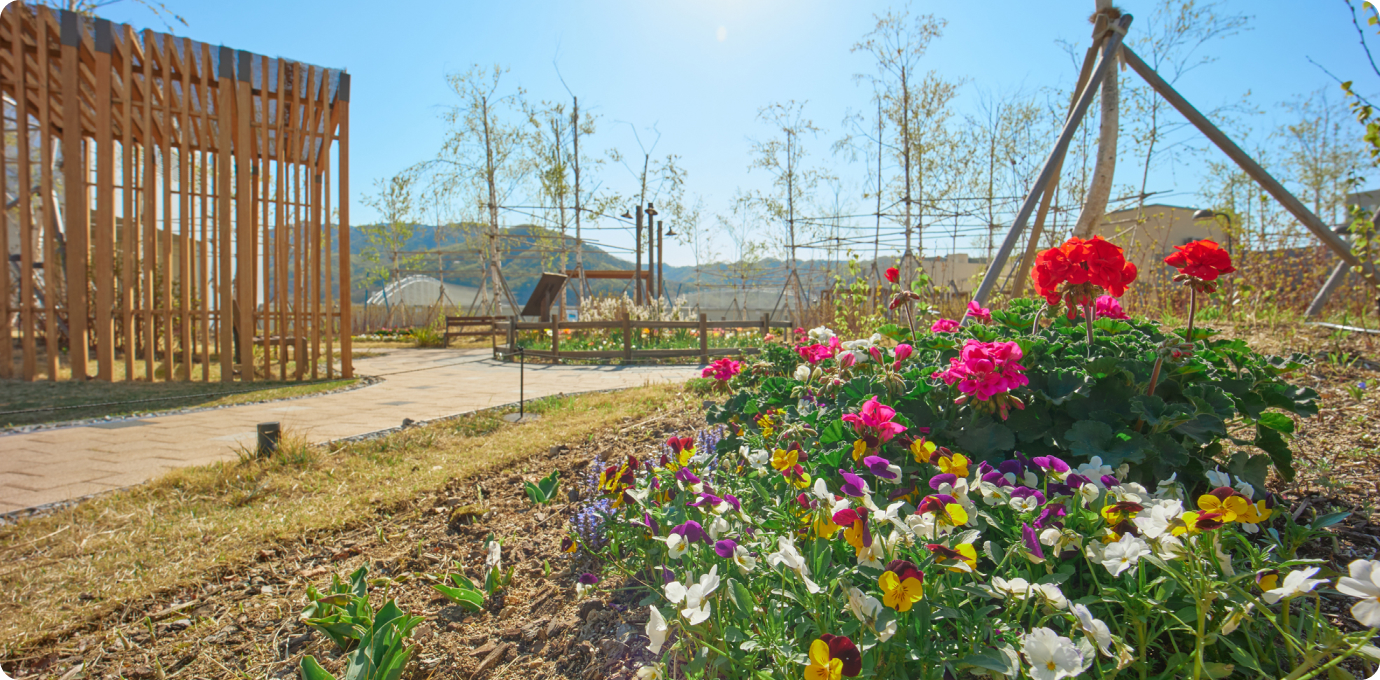 스타가든 옥상정원 꽃 이미지