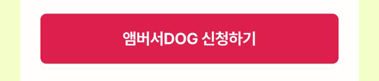 앰버서DOG 신청하기