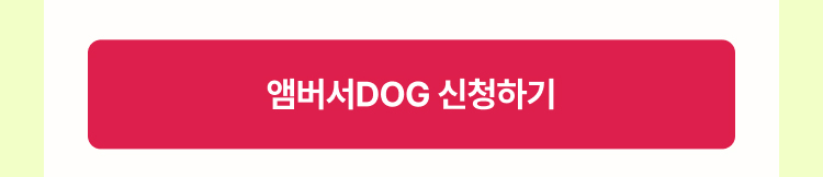 앰버서DOG 신청하기