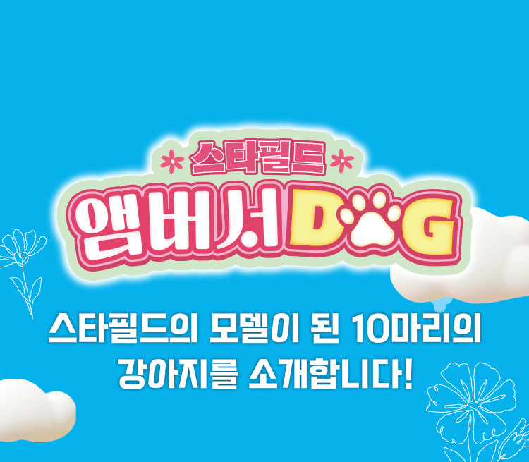 스타필드 앰버서DOG - 스타필드의 모델이 된 10마리의 강아지를 소개합니다!