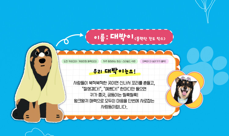 대박이(블랙탄 진도 믹스) 인스타그램 바로가기