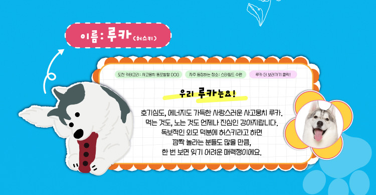 루카(허스키) 인스타그램 바로가기