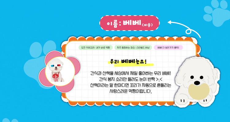 베베(비숑) 인스타그램 바로가기