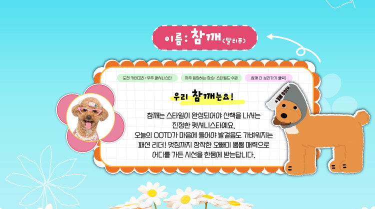 참깨(말티푸) 인스타그램 바로가기