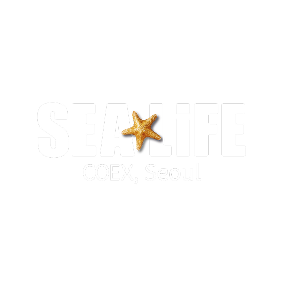 브랜드 타이틀 로고