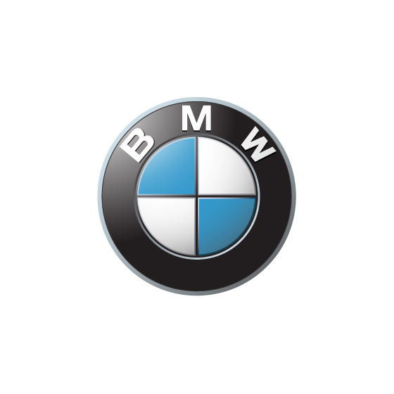 BMW logo image